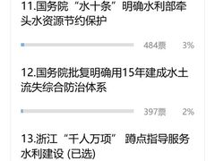 -老王豆皮