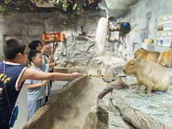 -Zoolung Zoolung动物主题公园(海信广场店)