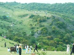 -大姆山草场