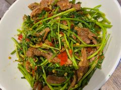 -壹盏灯(惠农店)