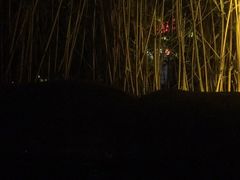 -河源客天下-温泉小镇