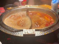 -牛New寿喜烧(金鹰世界店)