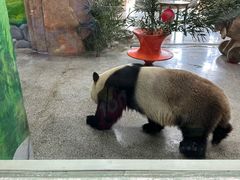 -临沂动植物园