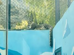 -青藏高原野生动物园