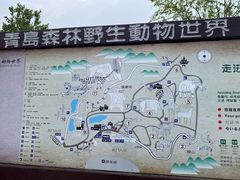 -青岛森林野生动物世界