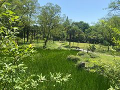 -杭州植物园
