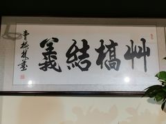 -椿不老