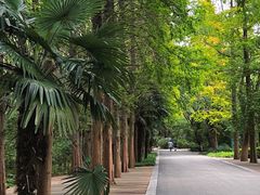 -同里国家湿地公园