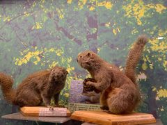 -下渚湖国家湿地公园科普馆