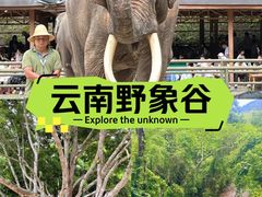 -野象谷景区