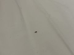 -成都东郊记忆理工大学轻居酒店
