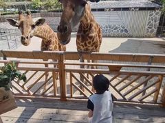 -泉州海丝野生动物世界