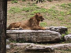 -北京野生动物园