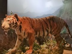 -陕西自然博物馆