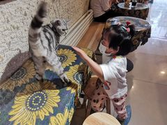 -平行世界·猫咖(首经贸店)