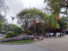 -荔湾湖公园