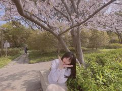 -新江湾城公园