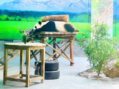 -临沂动植物园