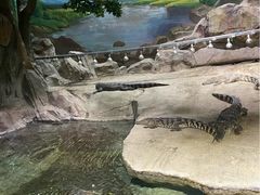 -临沂极地海洋王国