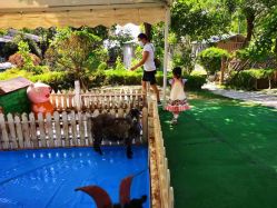 -萌宠亲子动物乐园(槐房万达店)