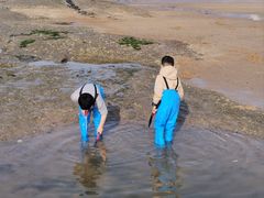 -日照灯塔风景区