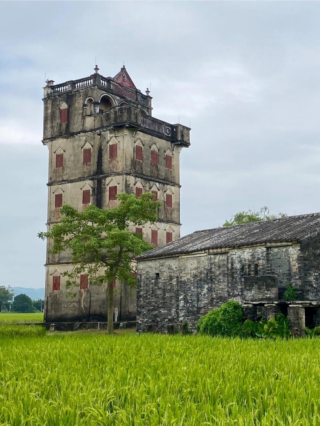 值得一看的岭南华侨百年古堡‼️