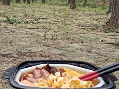 -白草畔自然风景区