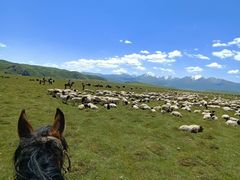 -新疆那拉提国家旅游度假区