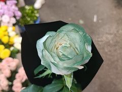 -循礼门鲜花花市(武汉循礼门店)