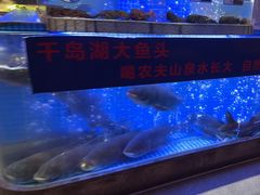 -鸽子侯·家宴·平价海鲜(绿地店)