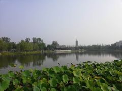 -西海子公园