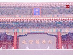 -故宫博物院(故宫)