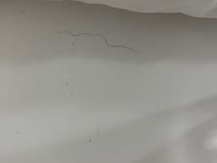 -Zsmart智尚酒店(上海北外滩四川北路东宝兴路地铁站店)