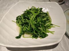 清炒鸡毛菜-玉玲珑(陆家嘴店)