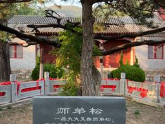 -泰山风景名胜区-普照寺