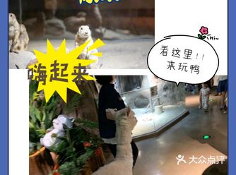 夏日溜娃好地方:MR.ZOO