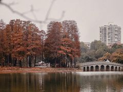 -四海公园(南山区)