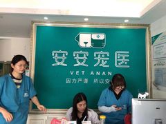 -安安宠医·安宠宠物医院
