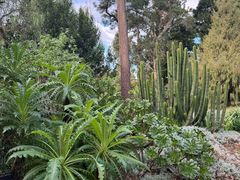 -墨尔本皇家植物园
