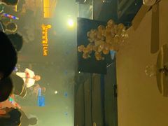 -阿卡贝拉音乐汇(印象城店)