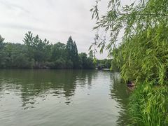 -白塔湖国家湿地公园