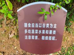 -贵阳市花溪国家城市湿地公园