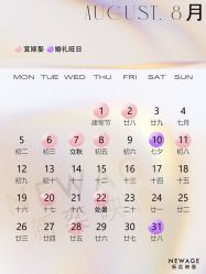 -新奕映像摄影机构