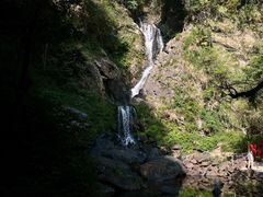 -石台牯牛降景区