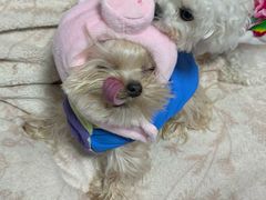 -虾乐园龙虾·烧烤夜宵(中山公园店)