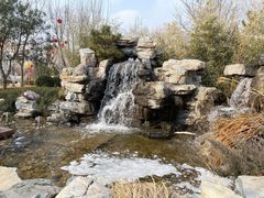 -南宫五洲植物乐园