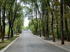 -同里国家湿地公园