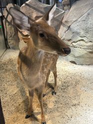 -酷嗒动物文化乐园(cutezoo西溪乐天城店)