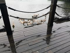 -上海怡沁园度假酒店