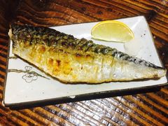烤青花鱼-平成屋· Late Night 食堂(四川北路店)